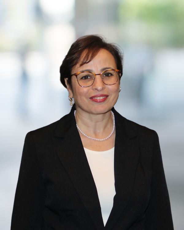 Majda Rabah, PhD, PE, LSRP