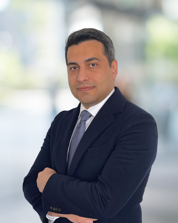 Mir SeyedAbbasi, PhD, PE